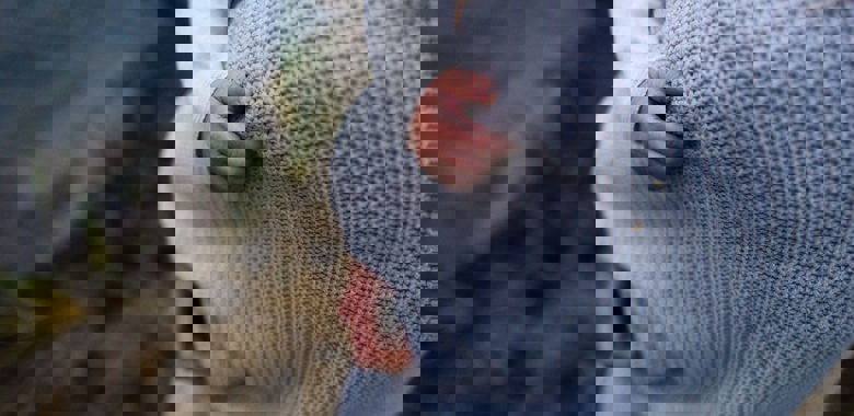 Mamma/förälder håller i sitt barn som har greppat tag i tröjan 