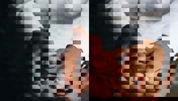 Matheus Ferrero Yfmjalh1s6s Unsplash (1)