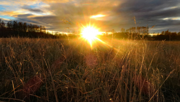 21034821 Sunset Over The Field